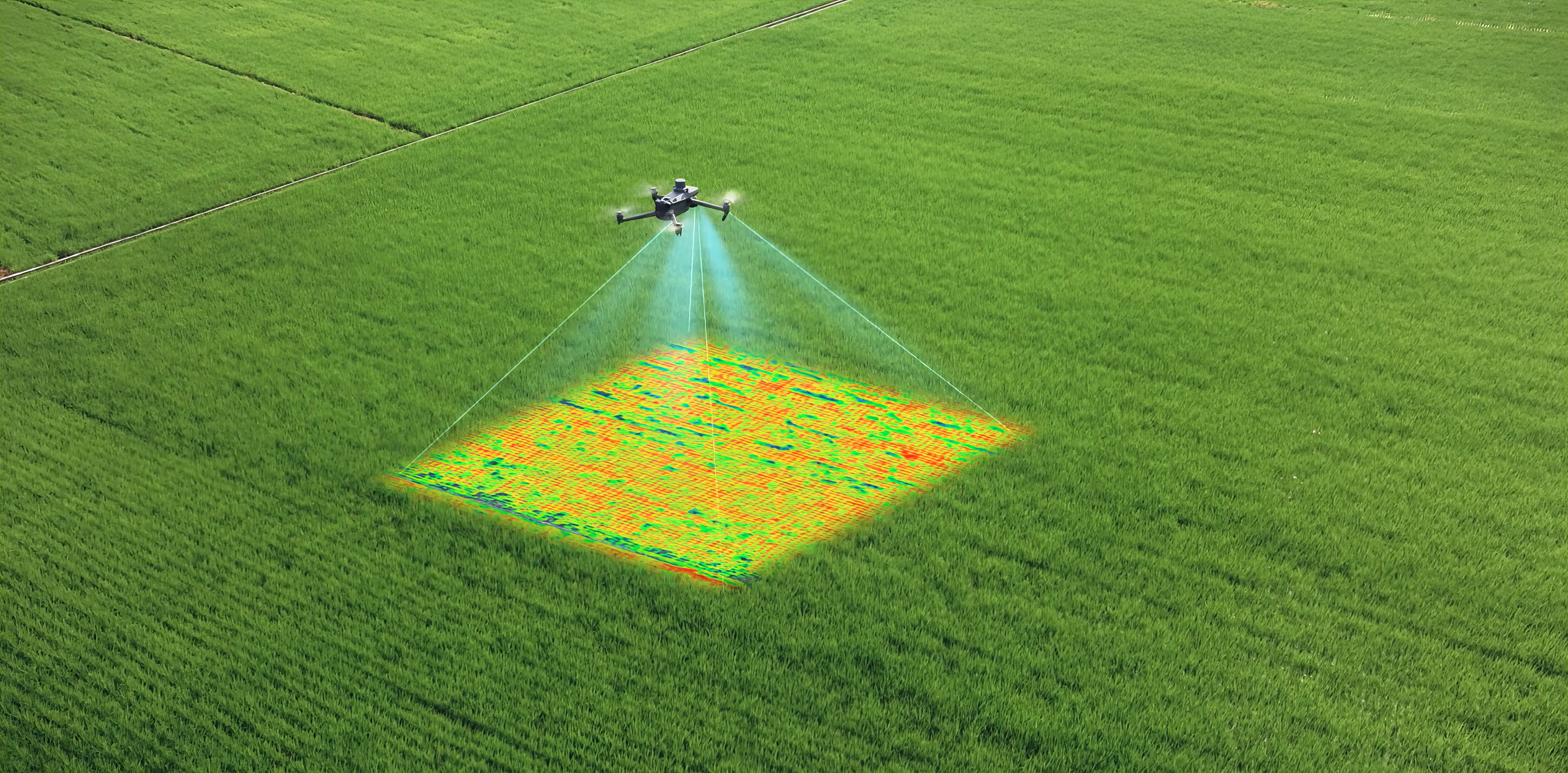 Drone spraying NDVI